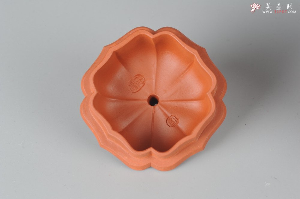 紫砂壶图片：优质小红泥莲花僧帽 线条干净利落 - 宜兴紫砂壶网