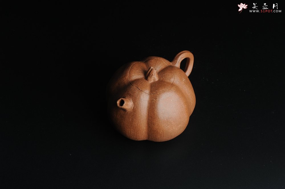 紫砂壶图片：仿生小花货 全手工文人小南瓜二式  - 宜兴紫砂壶网