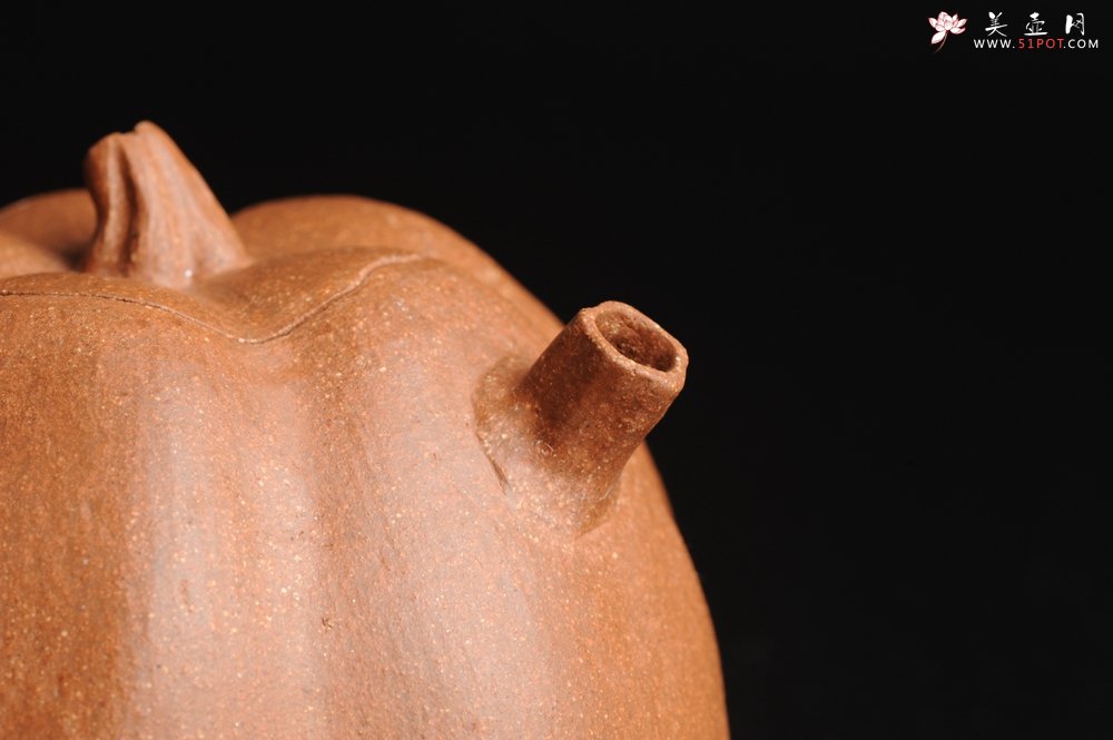 紫砂壶图片：仿生小花货 全手工文人小南瓜二式  - 宜兴紫砂壶网