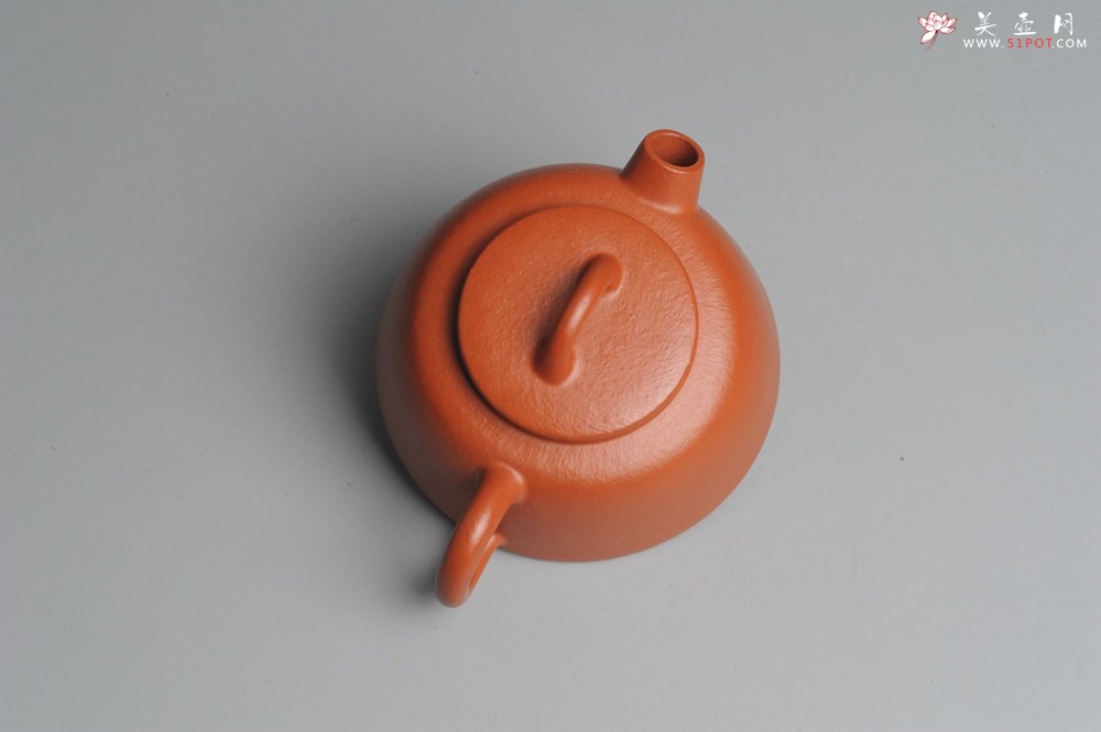 紫砂壶图片：全手工拙味大炮嘴壶 鱼笊篱^_^ - 宜兴紫砂壶网