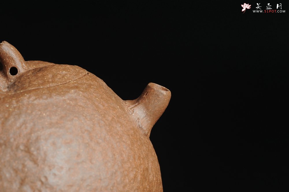 紫砂壶图片：仿生花货 全手工文人小福橘 肌理丰富 - 宜兴紫砂壶网