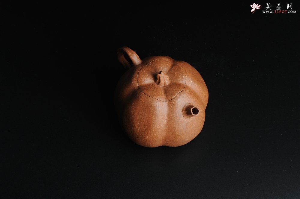 紫砂壶图片：仿生小花货 全手工文人小南瓜二式  - 宜兴紫砂壶网