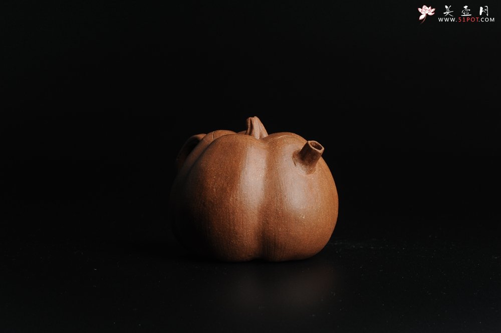 紫砂壶图片：仿生小花货 全手工文人小南瓜二式  - 宜兴紫砂壶网