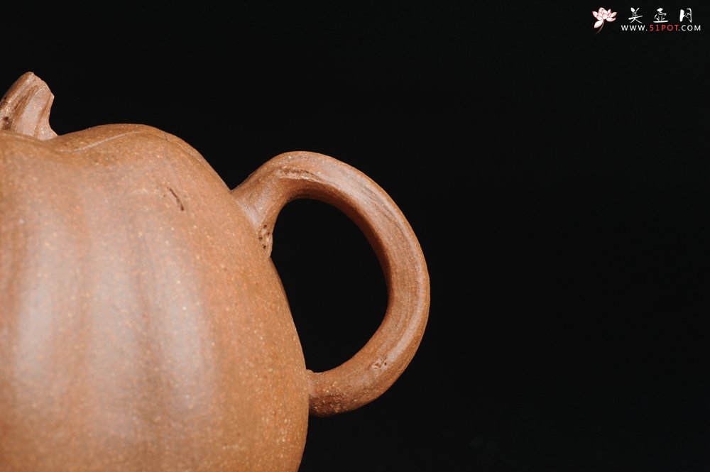 紫砂壶图片：仿生小花货 全手工文人小南瓜二式  - 宜兴紫砂壶网