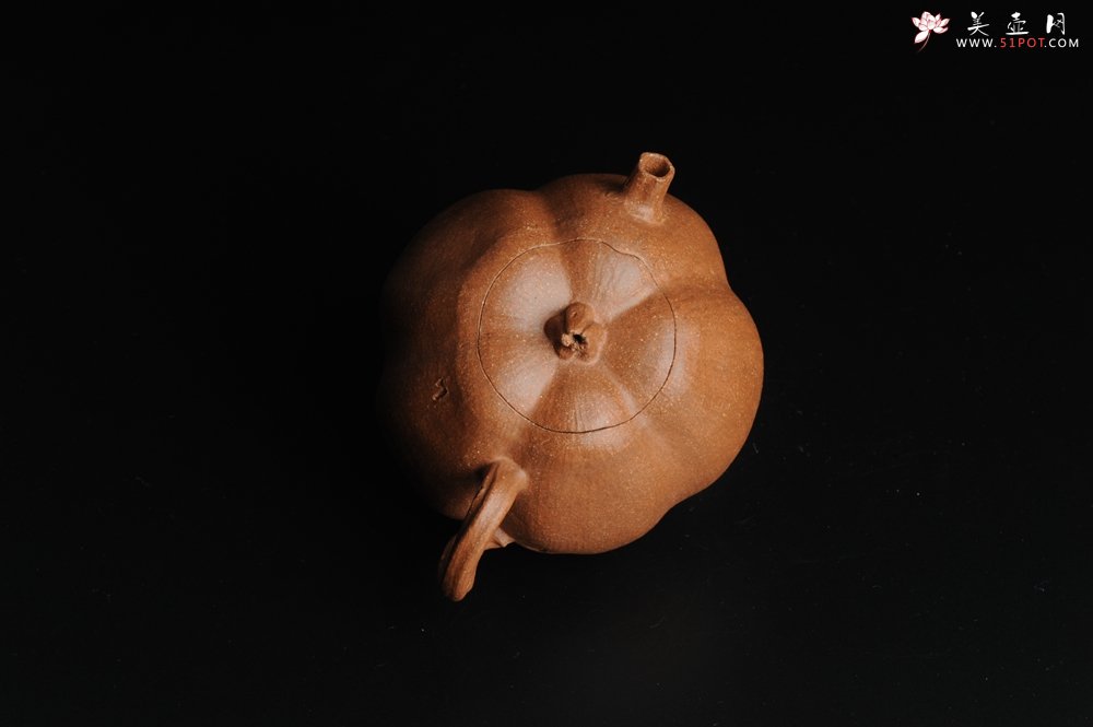 紫砂壶图片：仿生小花货 全手工文人小南瓜二式  - 宜兴紫砂壶网