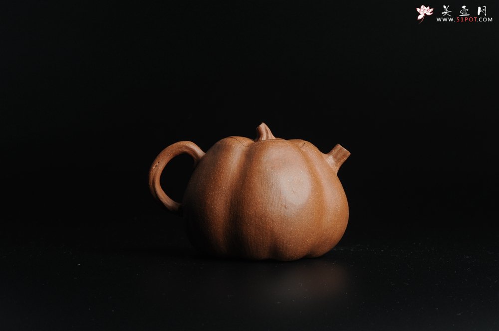 紫砂壶图片：仿生小花货 全手工文人小南瓜二式  - 宜兴紫砂壶网