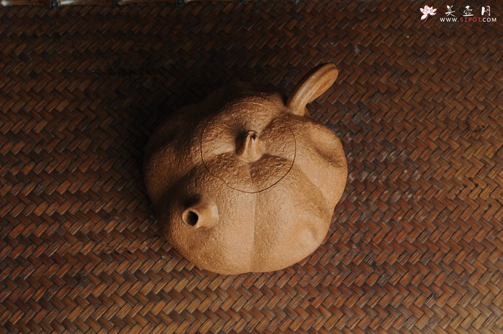 紫砂壶图片：仿生花货 全手工文人小南瓜 肌理丰富 - 宜兴紫砂壶网