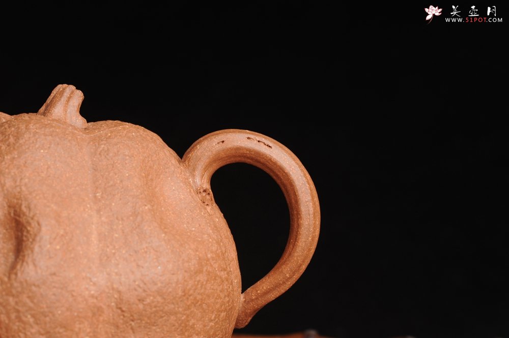 紫砂壶图片：仿生花货 全手工文人小南瓜 肌理丰富 - 宜兴紫砂壶网