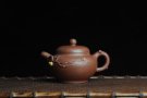 紫砂壶图片：美壶特惠 柿圆壶 - 宜兴紫砂壶网