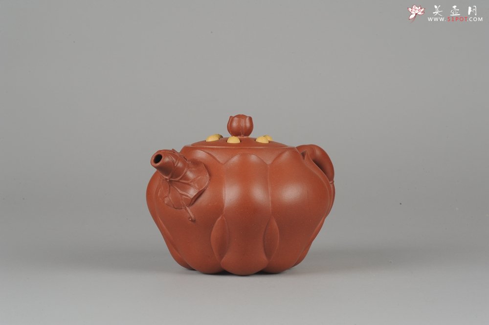 紫砂壶图片：美壶年底特惠 老清水泥秀美莲子壶 - 宜兴紫砂壶网