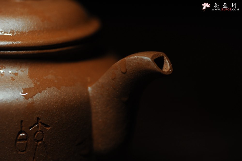 紫砂壶图片：美壶年底特惠 精品立狮壶 请君细品 - 宜兴紫砂壶网