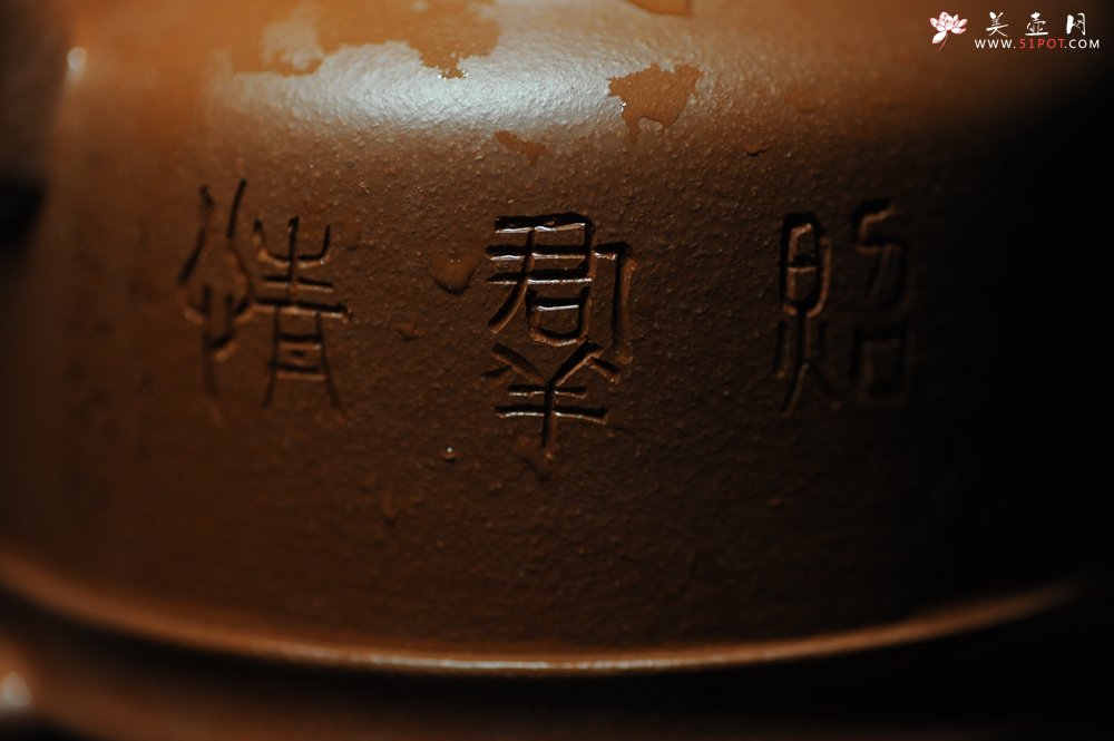 紫砂壶图片：美壶年底特惠 精品立狮壶 请君细品 - 宜兴紫砂壶网