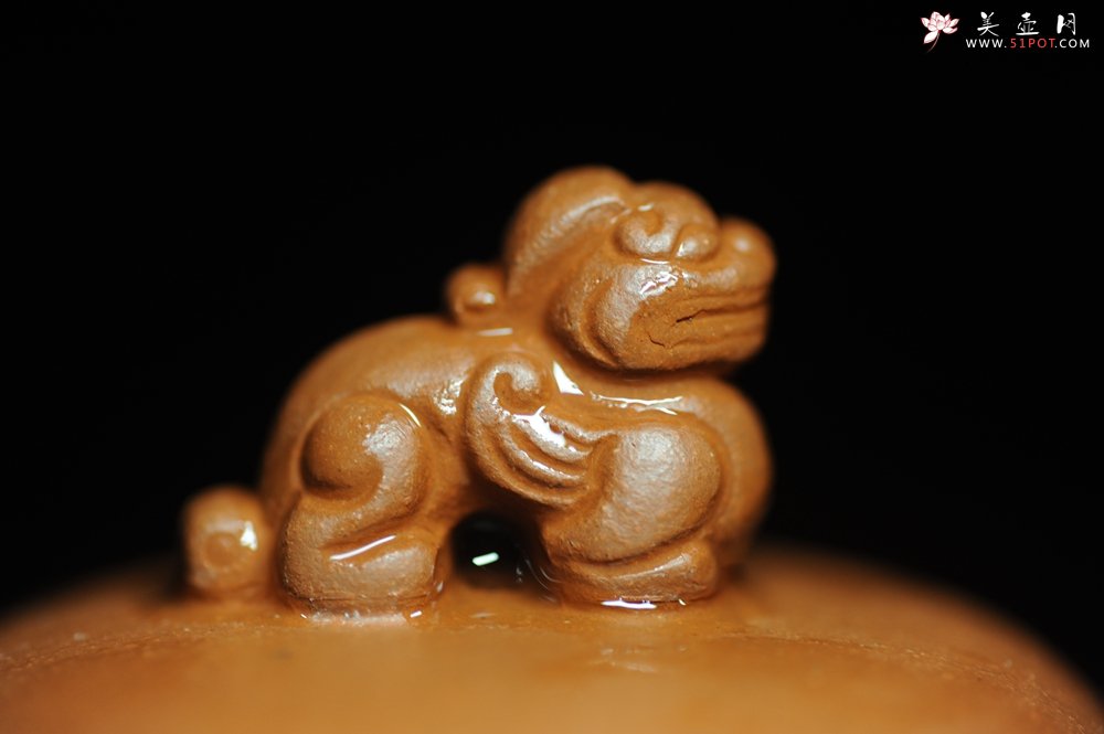 紫砂壶图片：美壶年底特惠 精品立狮壶 请君细品 - 宜兴紫砂壶网