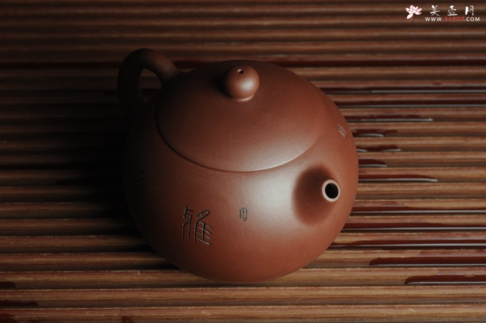 紫砂壶图片：美壶福利特惠 精工西施 精刻松鼠 - 宜兴紫砂壶网