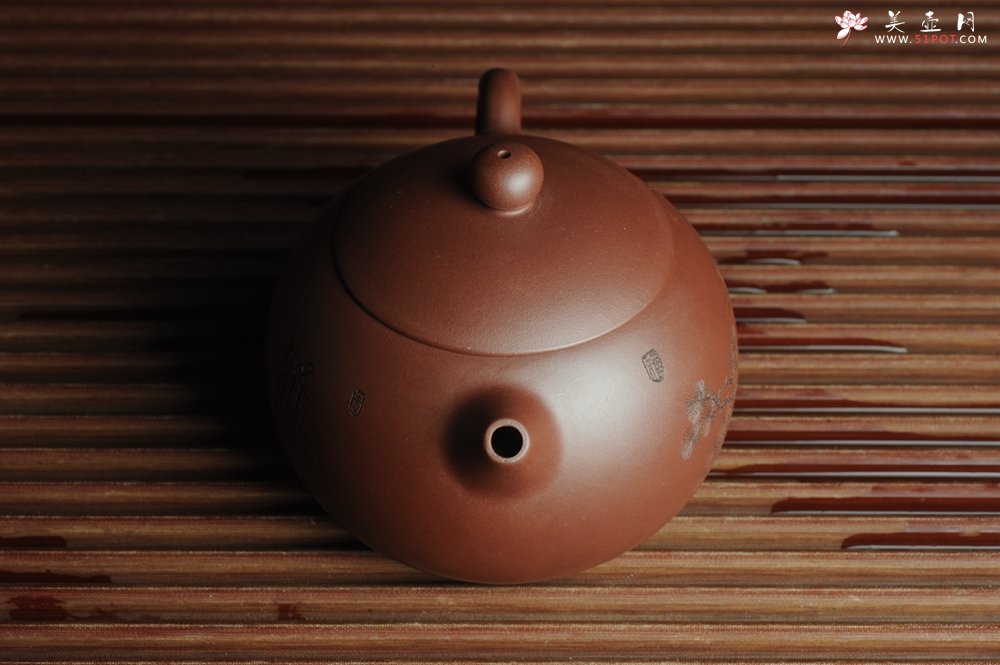 紫砂壶图片：美壶福利特惠 精工西施 精刻松鼠 - 宜兴紫砂壶网