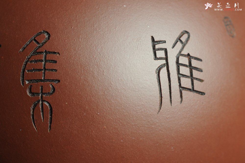 紫砂壶图片：美壶福利特惠 精工西施 精刻松鼠 - 宜兴紫砂壶网