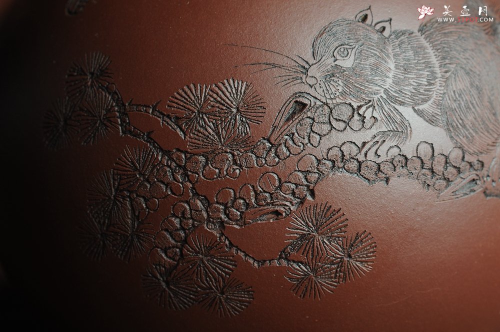 紫砂壶图片：美壶福利特惠 精工西施 精刻松鼠 - 宜兴紫砂壶网