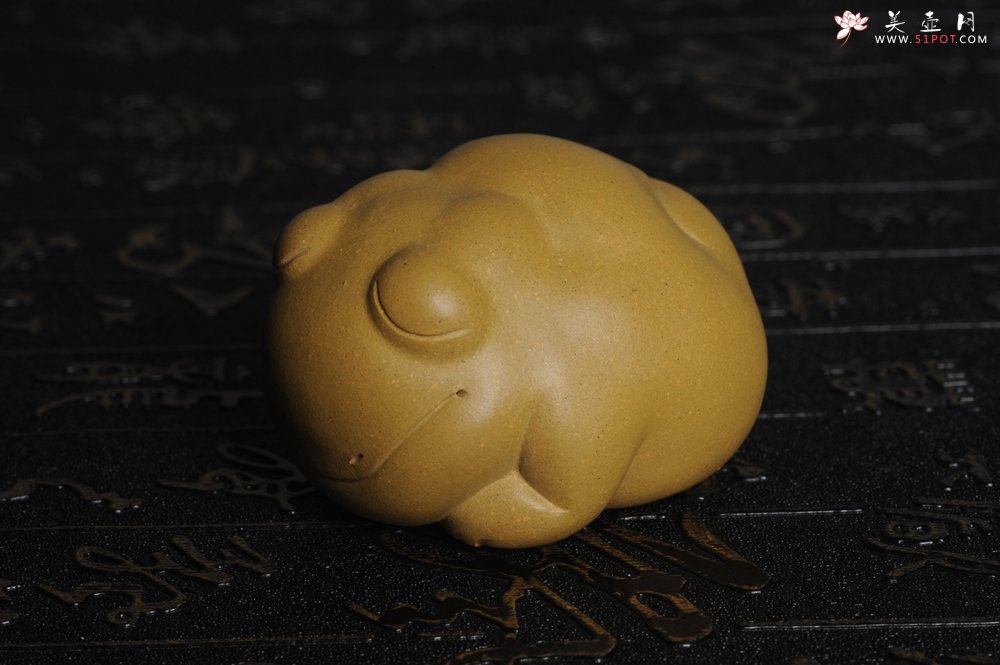 紫砂壶图片：美宠特惠 油润黄金段萌萌蛤蟆茶宠 做工超精致 长6.5cm宽5.5cm高4cm - 宜兴紫砂壶网