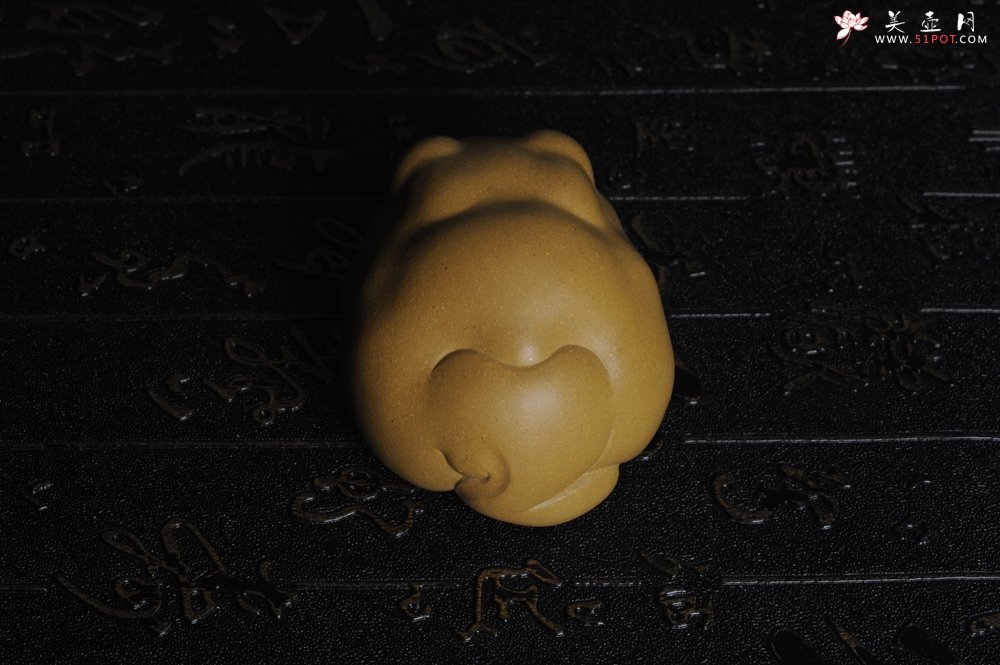 紫砂壶图片：美宠特惠 油润黄金段萌萌蛤蟆茶宠 做工超精致 长6.5cm宽5.5cm高4cm - 宜兴紫砂壶网