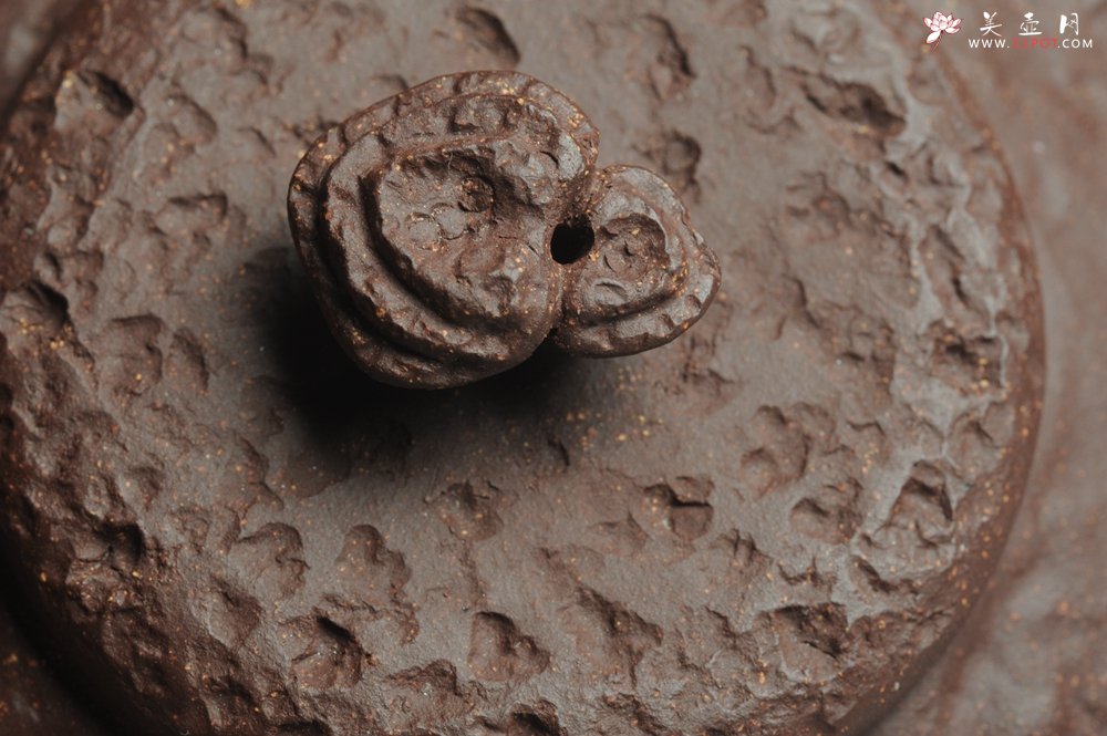 紫砂壶图片：美壶特惠 全手工薄胎游龙灵芝供春 龚春 做工精致 单色更显功力 - 宜兴紫砂壶网