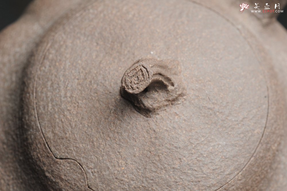 紫砂壶图片：美壶特惠 学苑派全手工精工仿生壶 小瓜  - 宜兴紫砂壶网