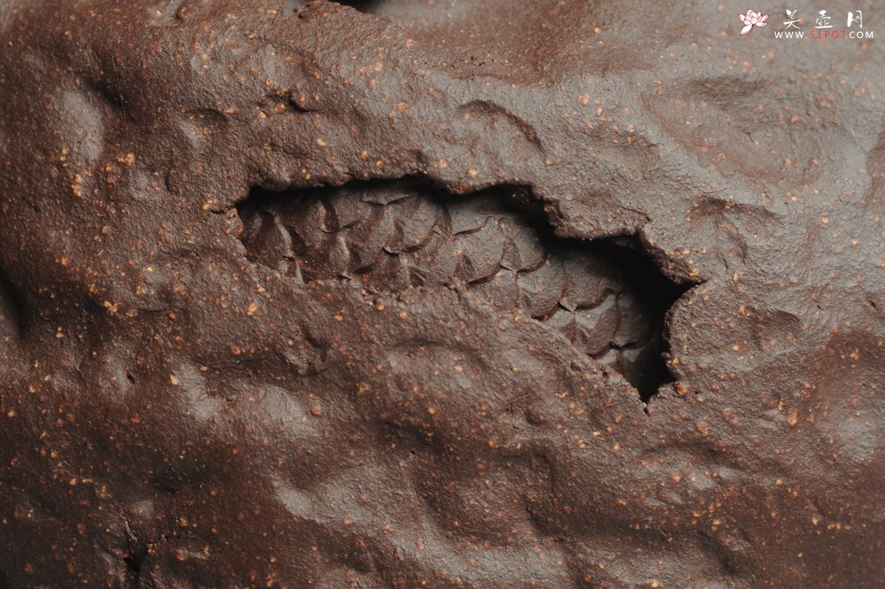 紫砂壶图片：美壶特惠 全手工薄胎游龙灵芝供春 龚春 做工精致 单色更显功力 - 宜兴紫砂壶网