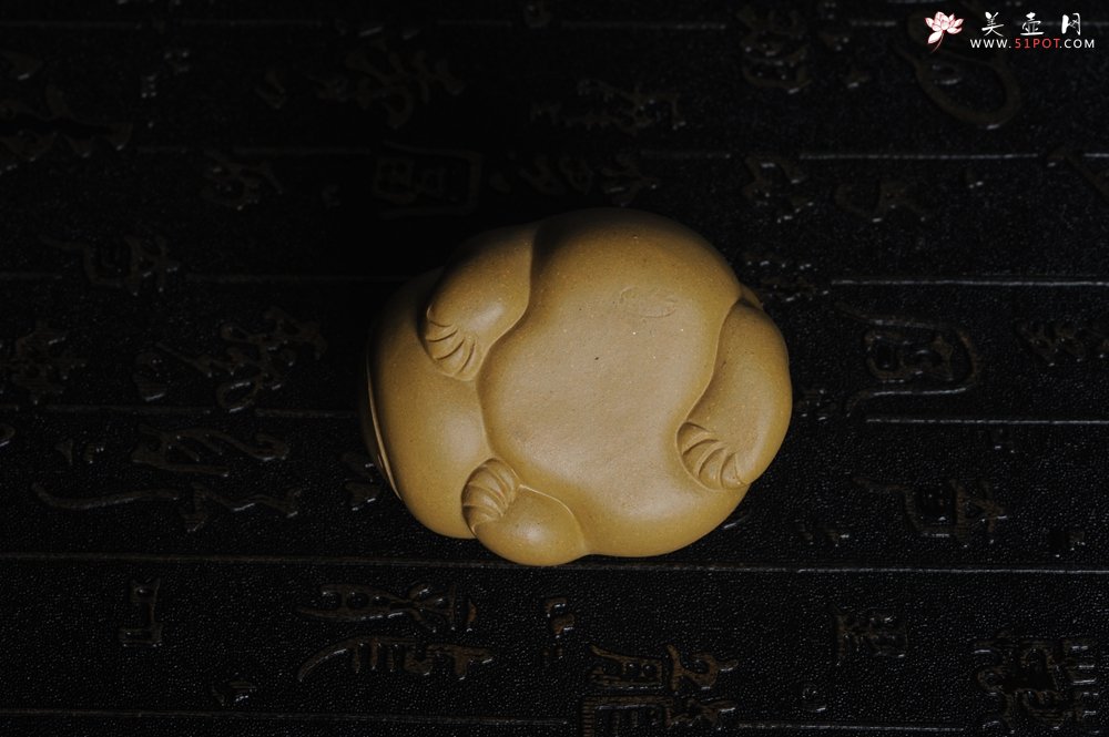 紫砂壶图片：美宠特惠 油润黄金段萌萌蛤蟆茶宠 做工超精致 长6.5cm宽5.5cm高4cm - 宜兴紫砂壶网