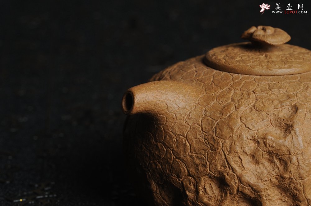 紫砂壶图片：美壶特惠 进步明显全手工黄金段泥灵芝供春壶 龚春 肌理丰富 - 宜兴紫砂壶网