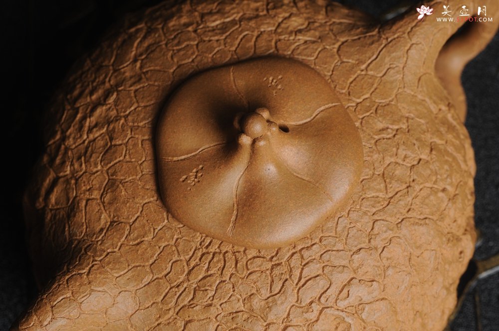 紫砂壶图片：美壶特惠 进步明显优质黄金段全手工龚春 供春 异型盖 难度大 肌理丰富 - 宜兴紫砂壶网