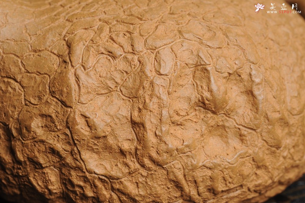 紫砂壶图片：美壶特惠 进步明显优质黄金段全手工龚春 供春 异型盖 难度大 肌理丰富 - 宜兴紫砂壶网