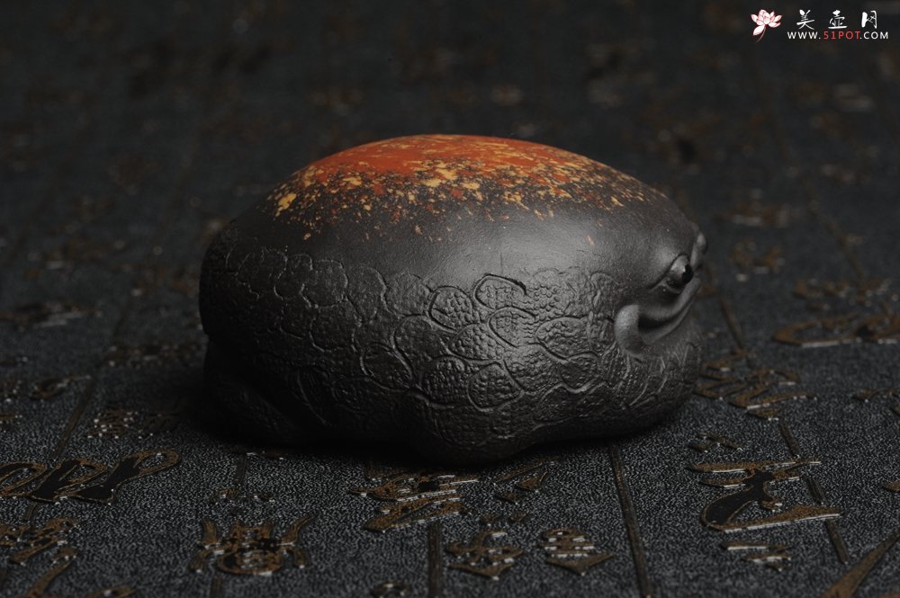 紫砂壶图片：美宠特惠 回馈壶友 精致性价比黑泥彩背金蟾盖托茶宠长8cm高度4cm左右 - 宜兴紫砂壶网