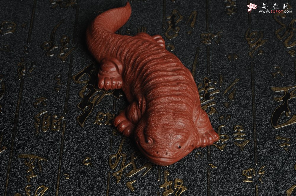 紫砂壶图片：美宠特惠 回馈壶友 精致性价比大红袍朱泥娃娃鱼茶宠 憨厚可爱 长12.5cm高2.5cm左右 - 宜兴紫砂壶网