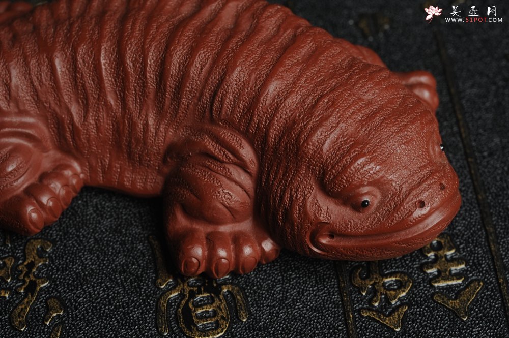 紫砂壶图片：美宠特惠 回馈壶友 精致性价比大红袍朱泥娃娃鱼茶宠 憨厚可爱 长12.5cm高2.5cm左右 - 宜兴紫砂壶网