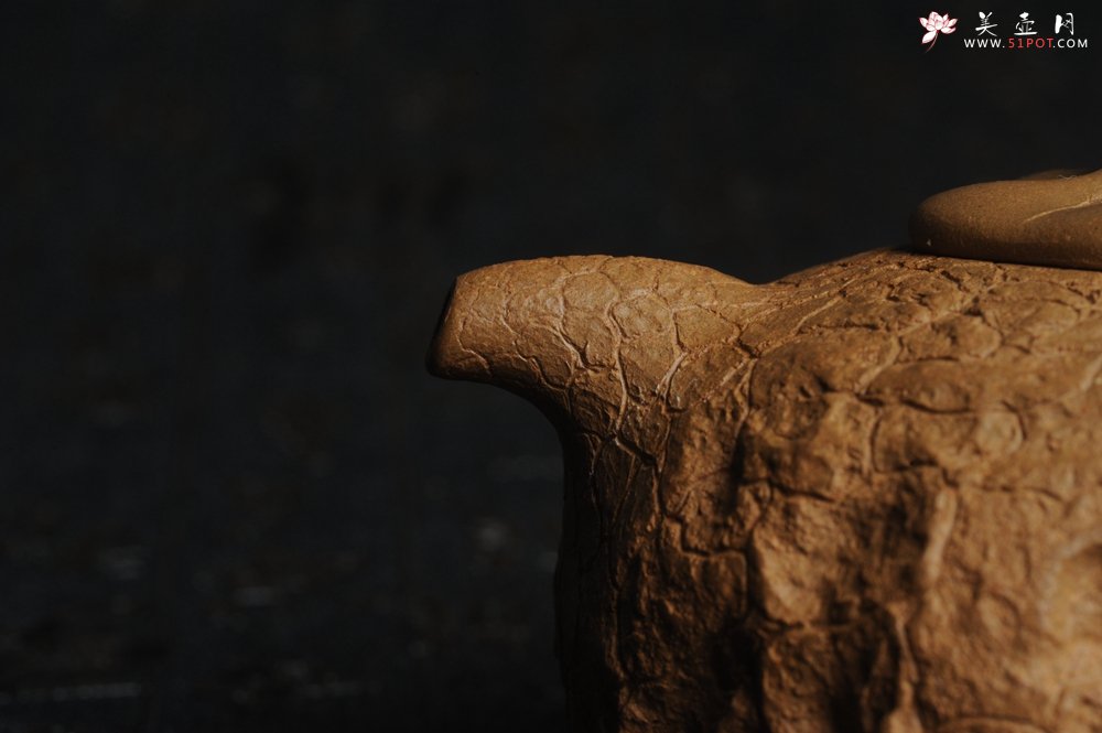 紫砂壶图片：美壶特惠 进步明显优质黄金段全手工供春壶 异型盖 难度大 肌理丰富 - 宜兴紫砂壶网