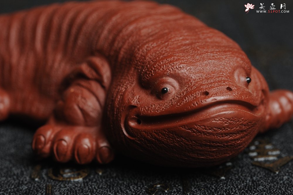紫砂壶图片：美宠特惠 回馈壶友 精致性价比大红袍朱泥娃娃鱼茶宠 憨厚可爱 长12.5cm高2.5cm左右 - 宜兴紫砂壶网
