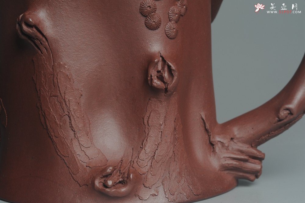 紫砂壶图片：实力派全手工木棉松桩 气质非凡 肌理自然生动 难度大 - 宜兴紫砂壶网