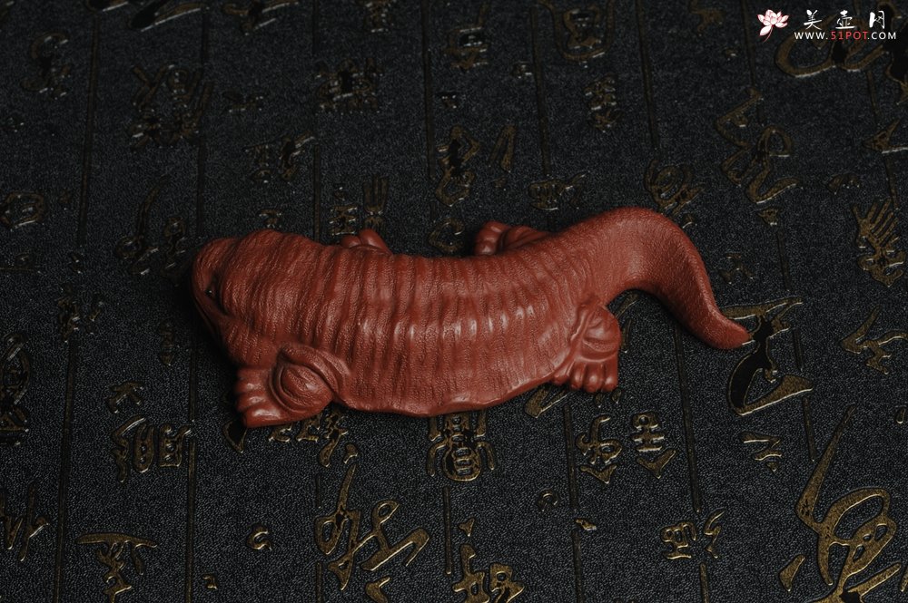 紫砂壶图片：美宠特惠 回馈壶友 精致性价比大红袍朱泥娃娃鱼茶宠 憨厚可爱 长12.5cm高2.5cm左右 - 宜兴紫砂壶网