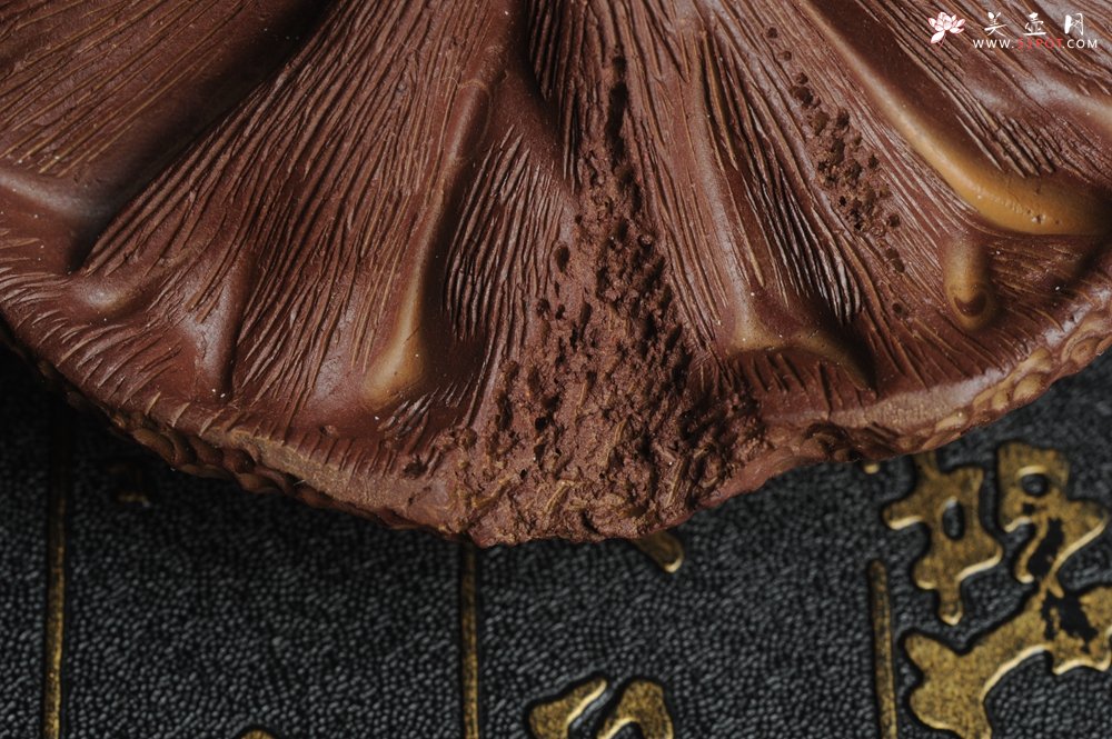 紫砂壶图片：美宠特惠 回馈壶友 精致莲蓬青蛙茶宠 肌理丰富 荷塘情趣 - 宜兴紫砂壶网