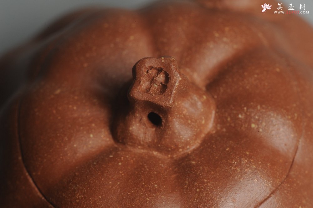 紫砂壶图片：美壶特惠 油润降坡泥精致卡盖全手工仿生小南瓜 - 宜兴紫砂壶网