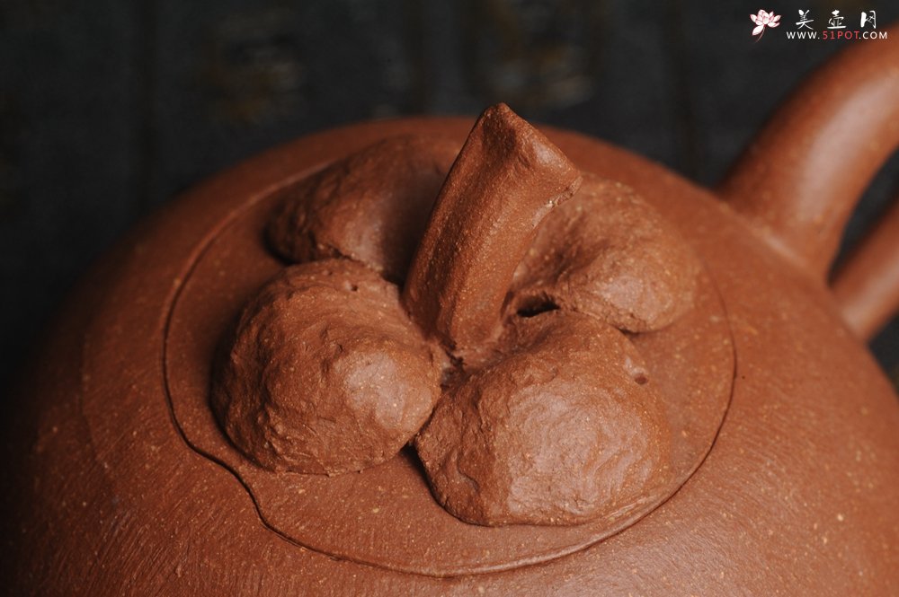 紫砂壶图片：美壶特惠 精致卡盖全手工油润降坡泥仿生小花货 山竹 - 宜兴紫砂壶网