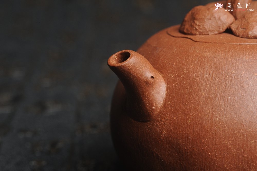 紫砂壶图片：美壶特惠 精致卡盖全手工油润降坡泥仿生小花货 山竹 - 宜兴紫砂壶网