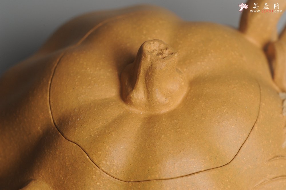 紫砂壶图片：美壶特惠 黄金段泥精致卡盖全手工仿生小南瓜 - 宜兴紫砂壶网