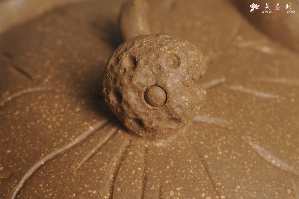 紫砂壶图片：美杯特惠 精致莲蓬公道杯 快客杯 肌理丰富 - 宜兴紫砂壶网