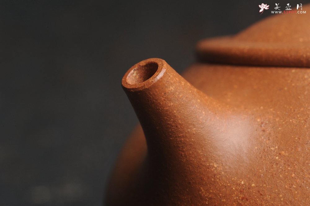 紫砂壶图片：潜力股周小培全手工演绎精品五彩段泥景舟石瓢 清茗堂助工文气装饰君子不老松 延年益寿 - 宜兴紫砂壶网