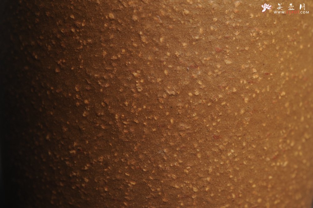 紫砂壶图片：美杯特惠 降坡泥调砂好料紫砂厚实品茗杯 主人杯 简单包装 不包邮 - 宜兴紫砂壶网