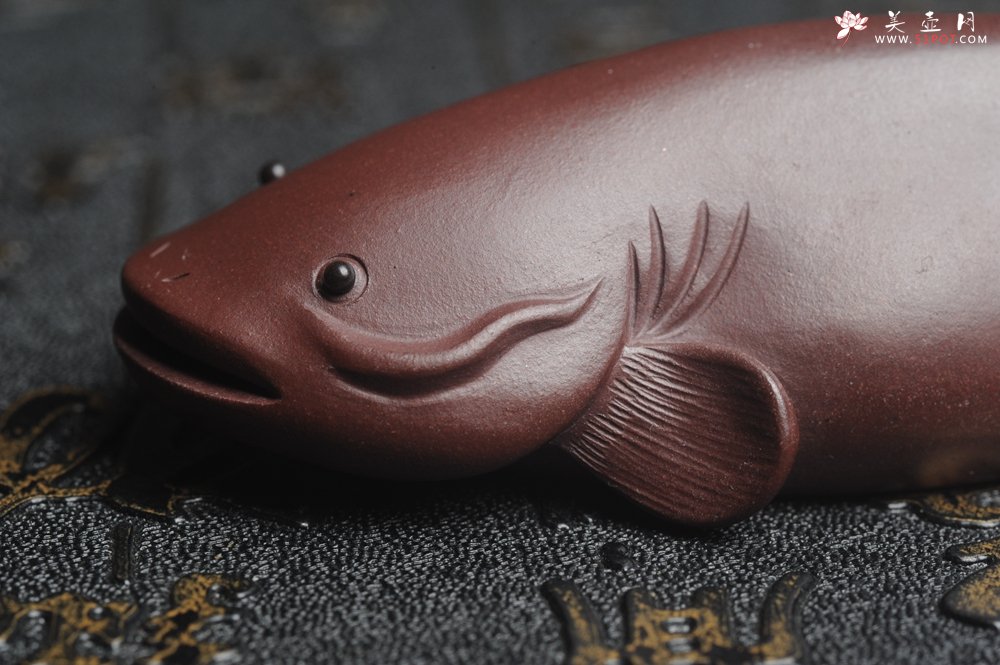紫砂壶图片：美宠特惠 年年有余鱼 神态细腻 做工灰常精致 手工茶宠摆件长：12.5cm左右，最宽度为：3.7cm - 宜兴紫砂壶网