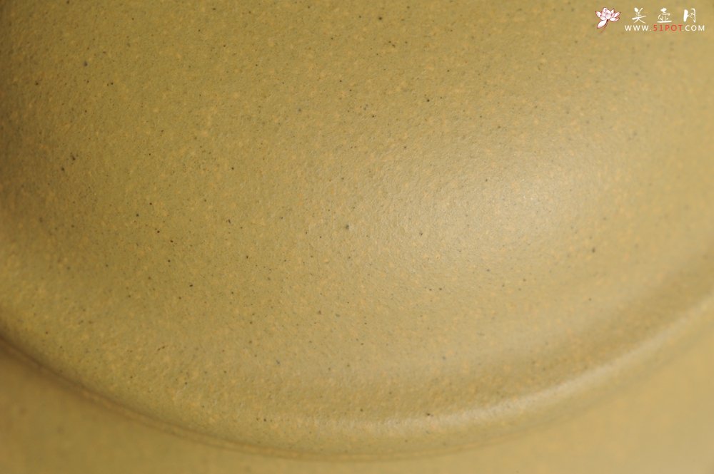 紫砂壶图片：美壶特惠 灰常好的本山段黄金段精工山水莲子壶 端庄秀雅 - 宜兴紫砂壶网