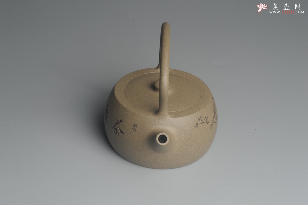 紫砂壶图片：美壶特惠 老青段 助工精工怀古提梁 装饰花鸟 - 宜兴紫砂壶网