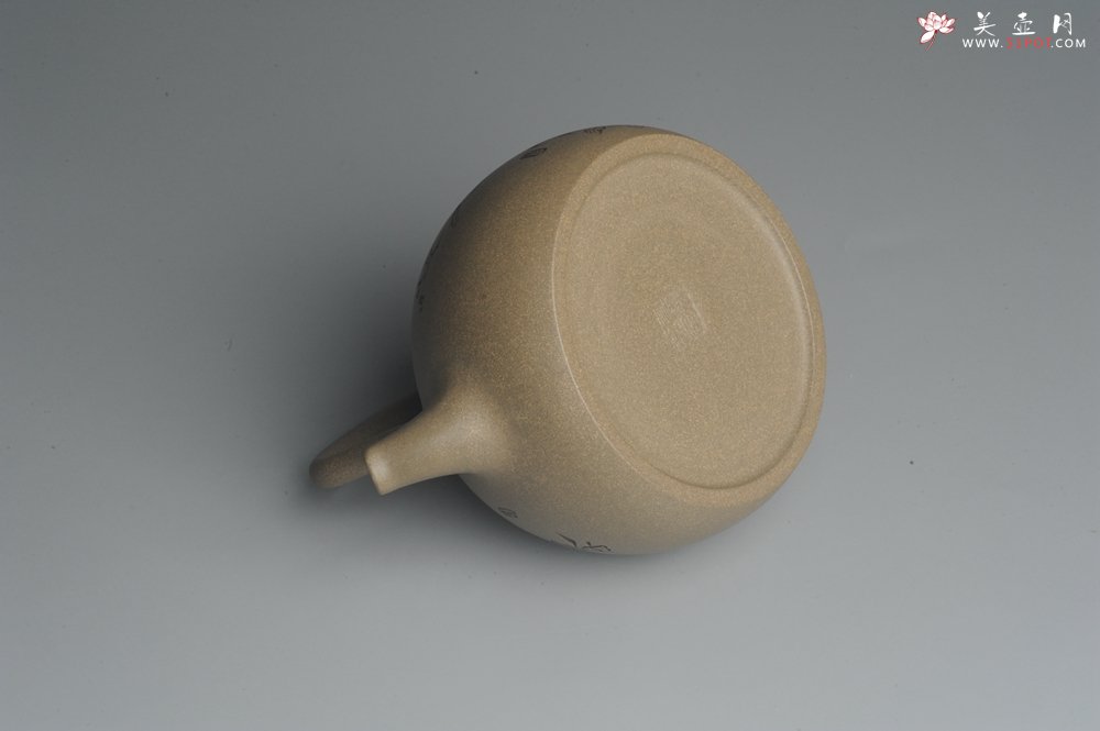 紫砂壶图片：美壶特惠 老青段 助工精工怀古提梁 装饰花鸟 - 宜兴紫砂壶网