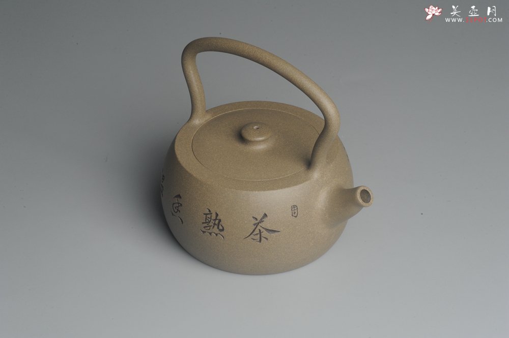 紫砂壶图片：美壶特惠 老青段 助工精工怀古提梁 装饰花鸟 - 宜兴紫砂壶网